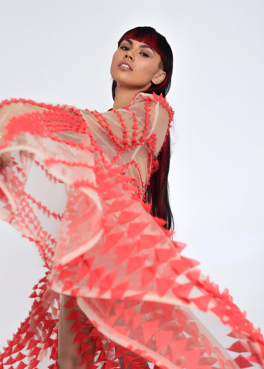 Ishkode Gown